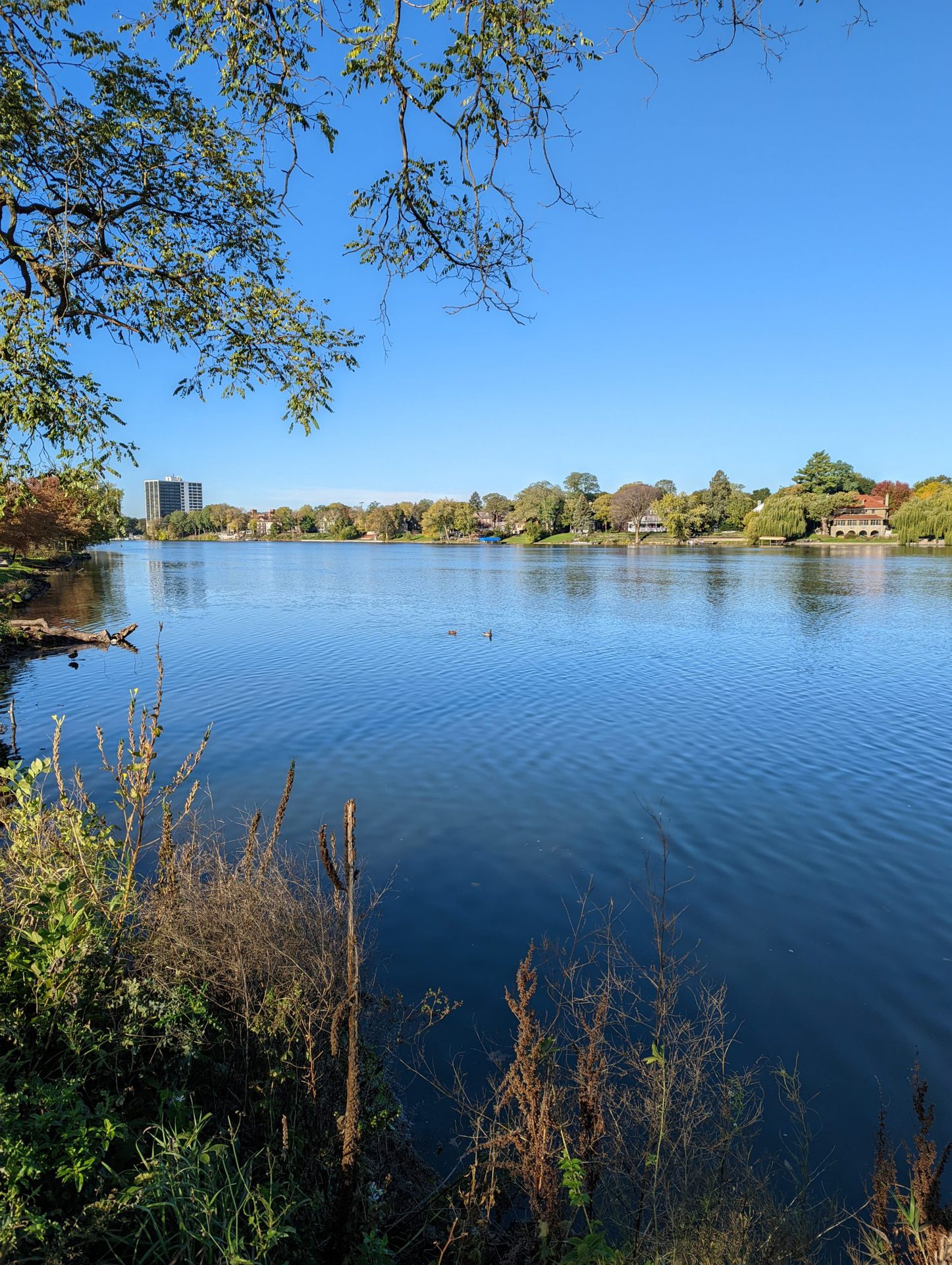 An image of a river taken with the Google Pixel 6 camera